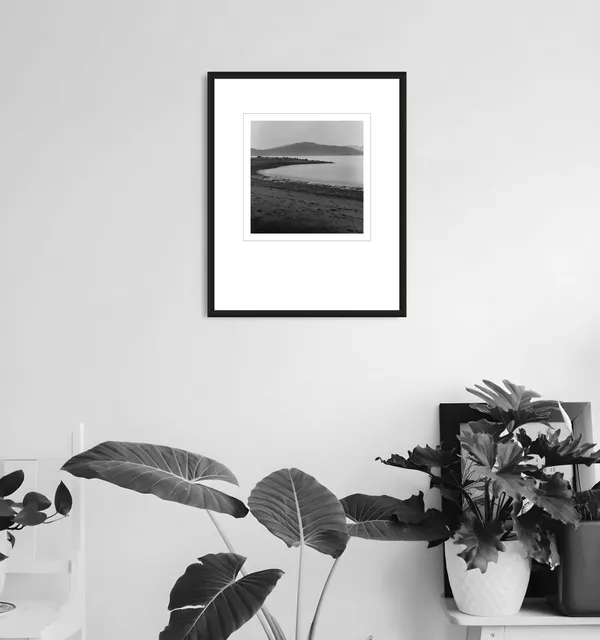 A framed silver gelatin print of the Spanish Banks shoreline above a cluster of houseplants.