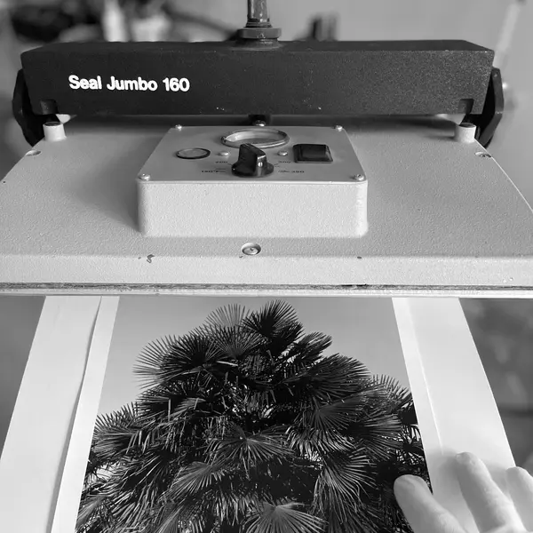 A Seal Jumbo 160 dry mount press, with a silver gelatin print of a palm tree being slid onto the platen by hand.